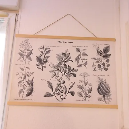 Plain-pied - 5 Couchages - Billard - Babyfoot - Terrasse - Jardin - Veranda - 4 & Canape Convertible - Netflix - Amazon Prime - Wifi - Stationnement Gratuit Devant - Centre - Gere Par Presta-zen'services Apartmán Verdun-sur-Meuse